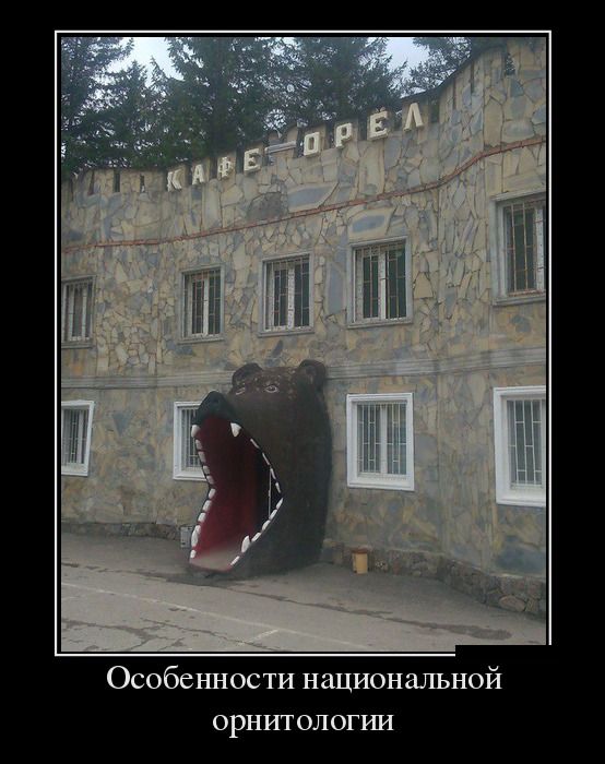 Демотиваторы дня, будет смешно.