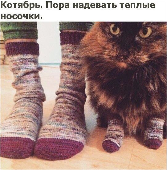 Прикольные картинки (30 штук)
