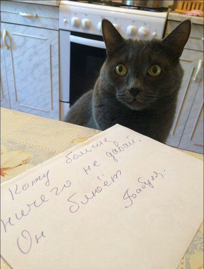 Прикольные картинки.