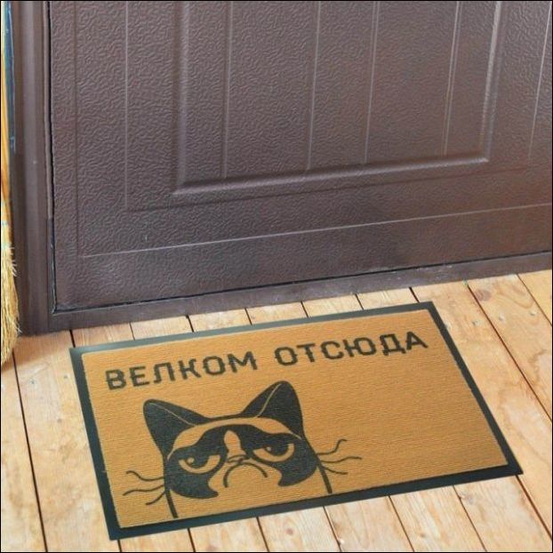 Прикольные картинки смотрим.