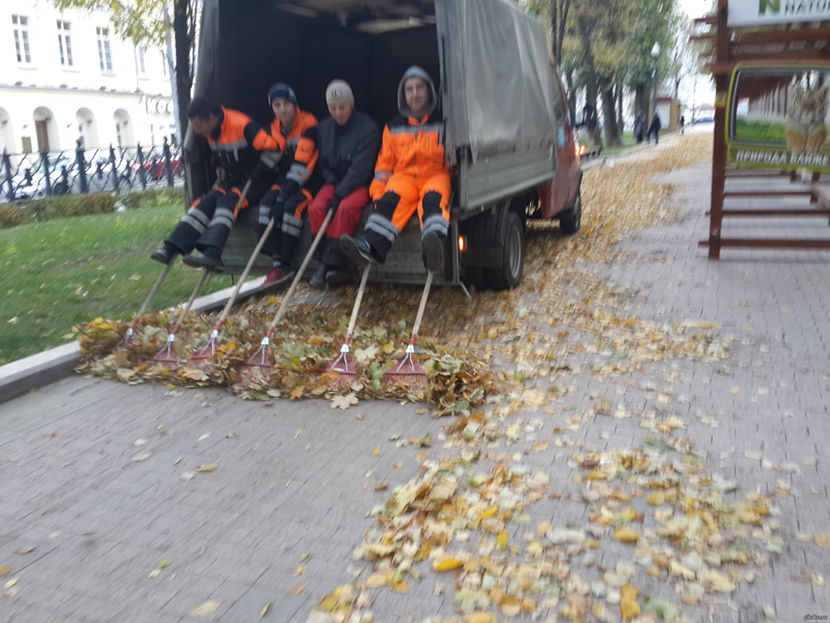 Фото приколы и просто картинки, юмор