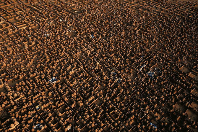 Мастер ви Yann Arthus-Bertrand