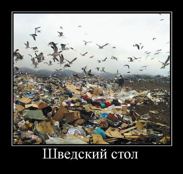 Без демотиваторов - никуда!