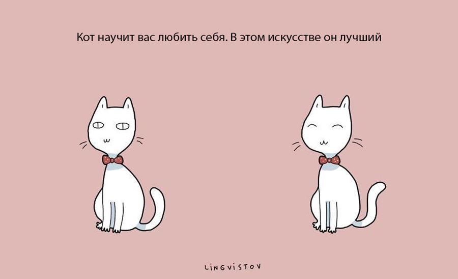Преимущество в том, что бы завести себе кошку
