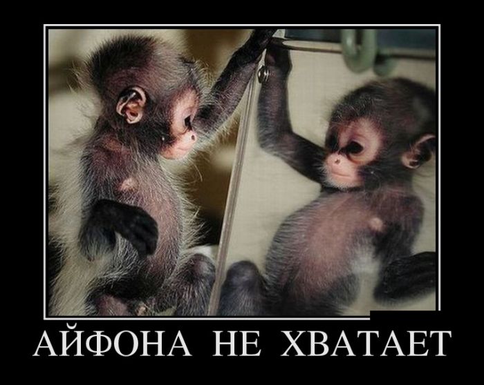 Новые демотиваторы, все больше приколов.