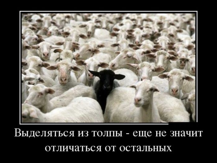 Новые и прикольные демотиваторы.