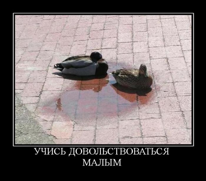 Демотиваторы, подборка новых и прикольных черных рамок.