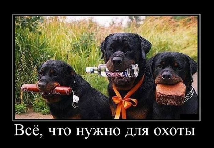 Классные демотиваторы.