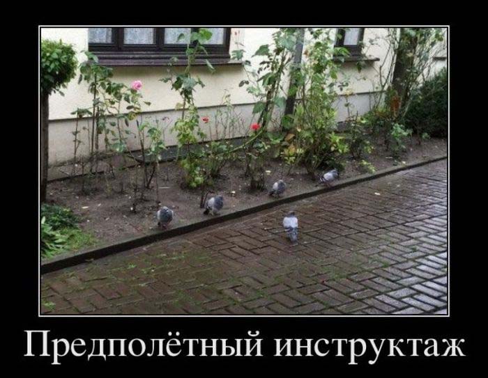 Демотиваторы прикольные, позитив дня.