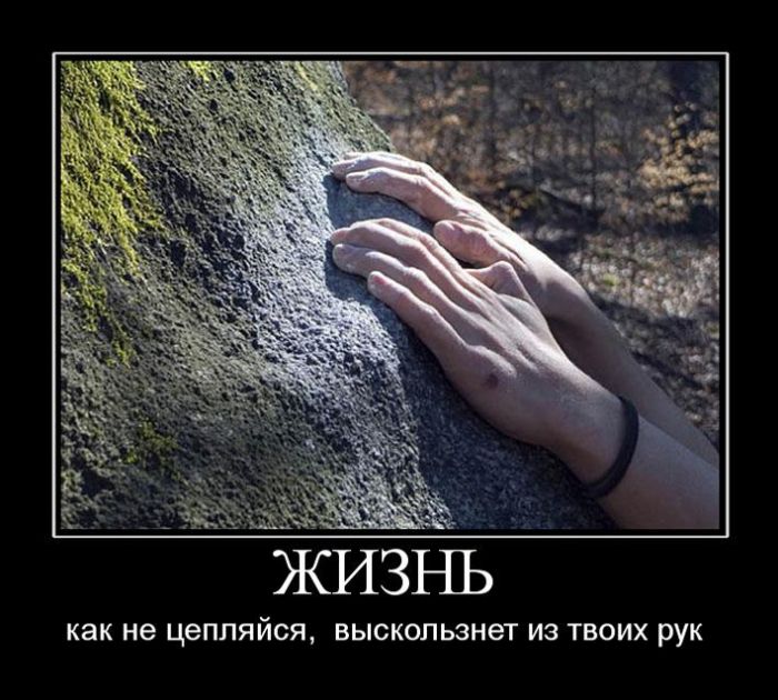 Демотиваторы смешные фото.