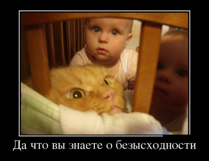 Новые демотиваторы, приколы в цитатах и фотках.
