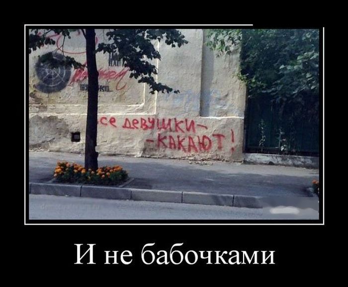 Демотиваторы это классные картинки и фразы.