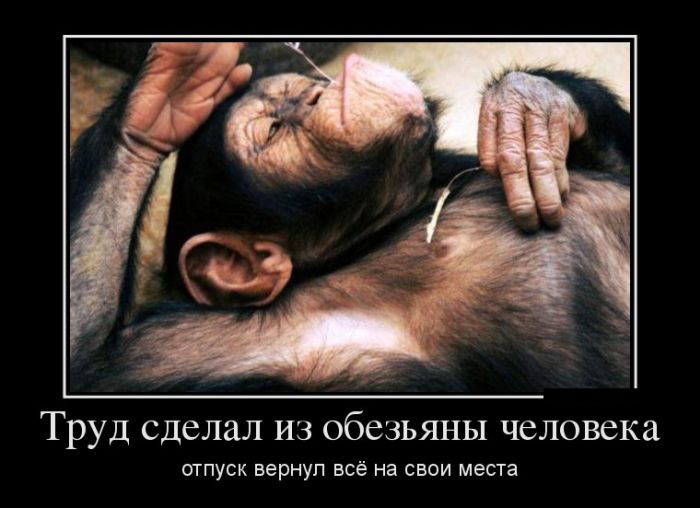 Прикольные демотиваторы для тебя.