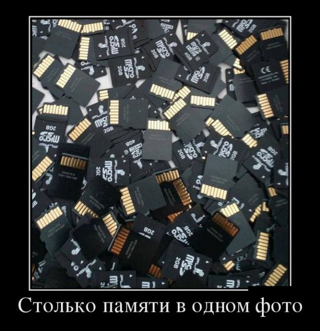 Картинки прикольные и фразы в подборке демотиваторов.