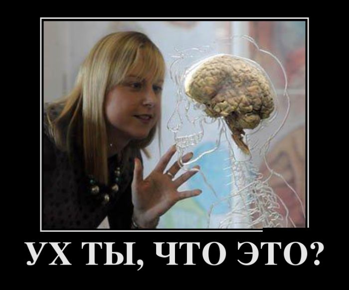 Демотиваторы дня, прикольные картинки и фразы.