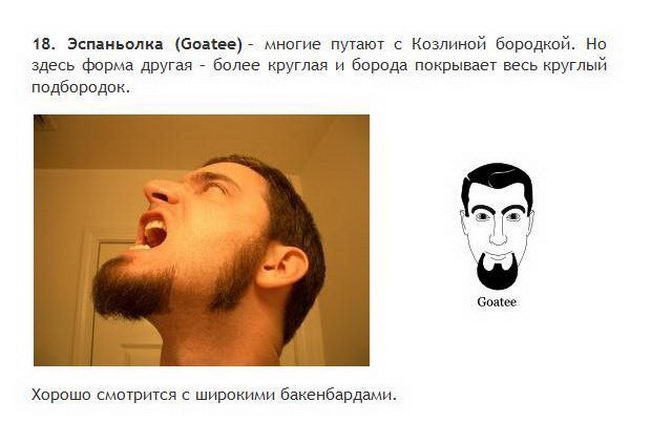 Борода и усы все разновидности