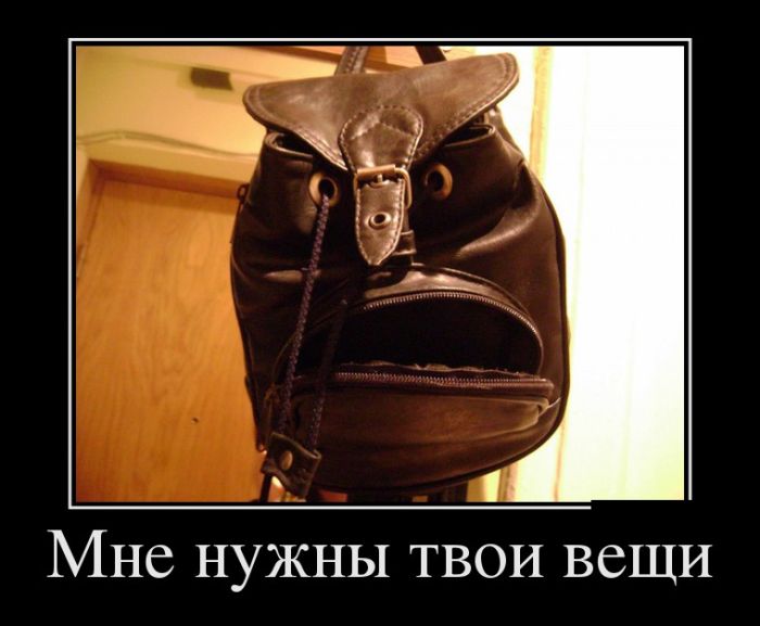Демотиваторы, позитив и приколы повсюду.