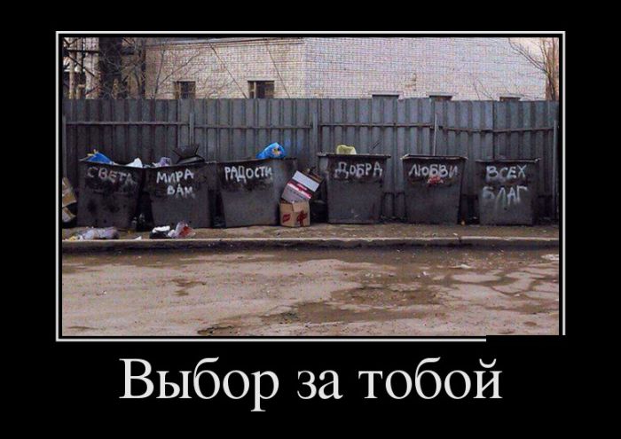 Демотиваторы, новые картинки с фразами.