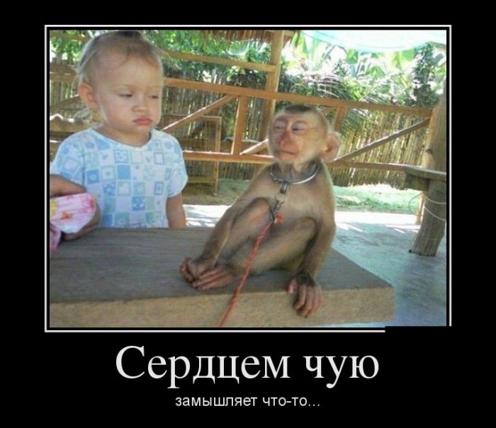 Демотиваторы, сам смотри.