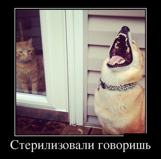 Демотиваторы. надеюсь не последние.