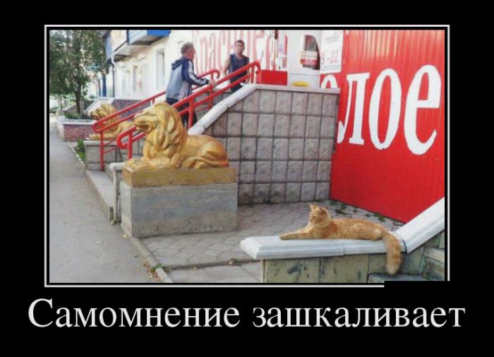 Новые демотиваторы смешные и со смыслом.