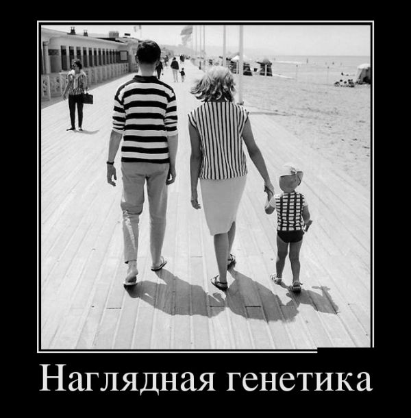 Демотиваторы с юмором.