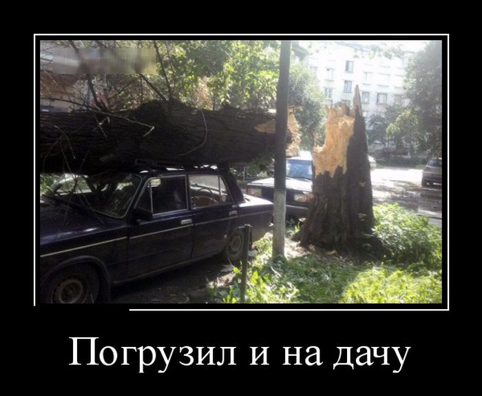 Новые приколы в демотиваторах, фразы и картинки.