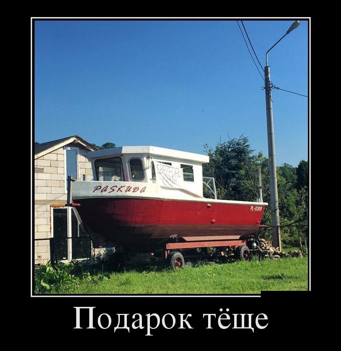 Демотиваторы новые и прикольные.