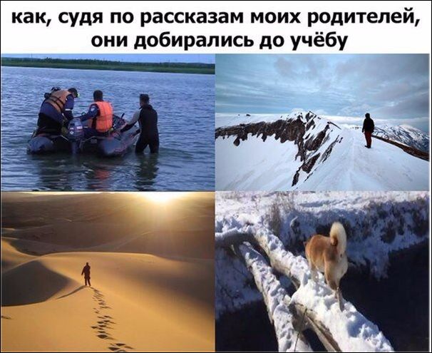 Прикольные картинки (30 фото)