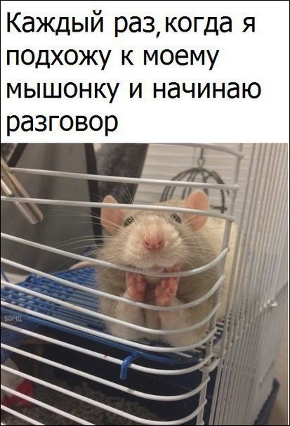 Прикольные картинки (30 штук)