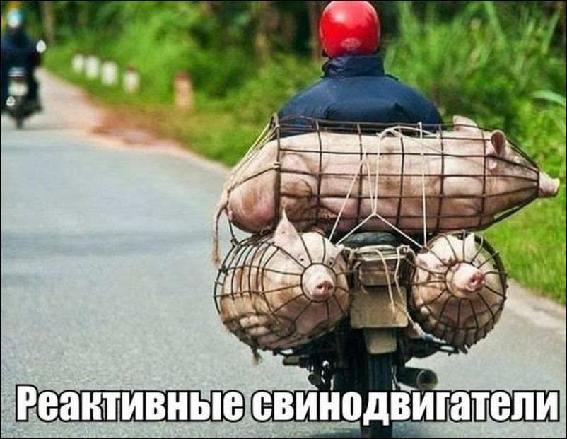 Предлагаю поржать с новых фото приколов.