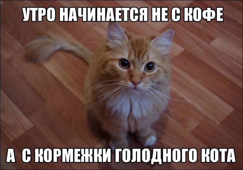 За фото приколы и здоровый образ жизни!
