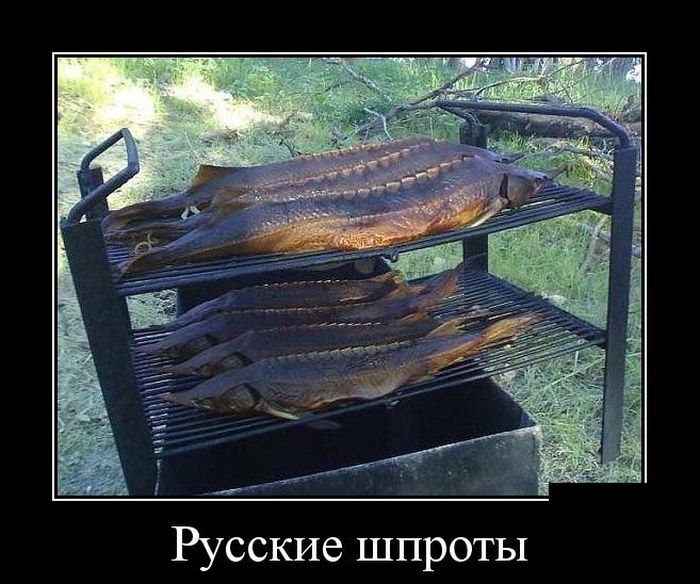 Ударим демотиватором по понедельнику