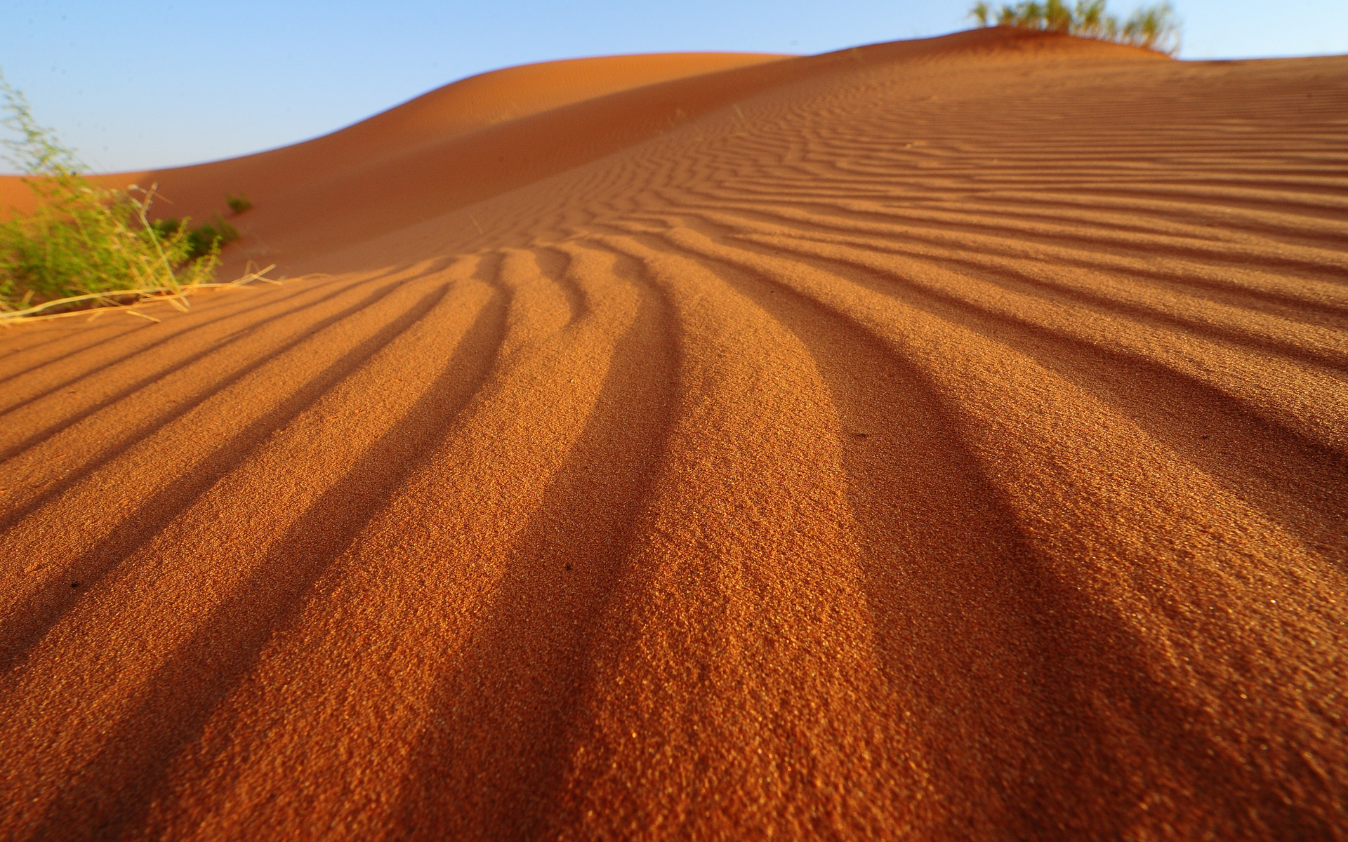 Красивые фотографии песка и дюн