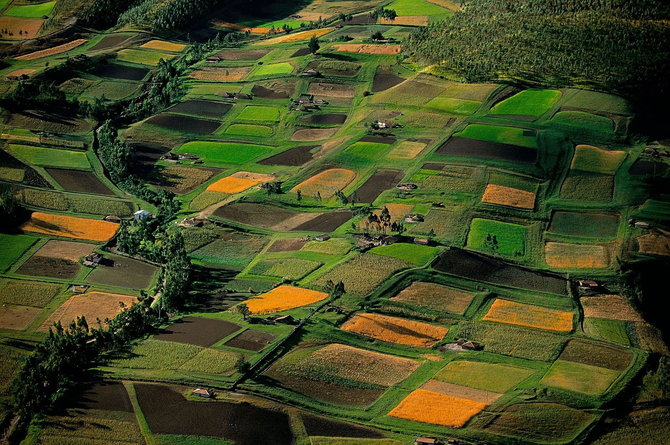 Мастер ви Yann Arthus-Bertrand