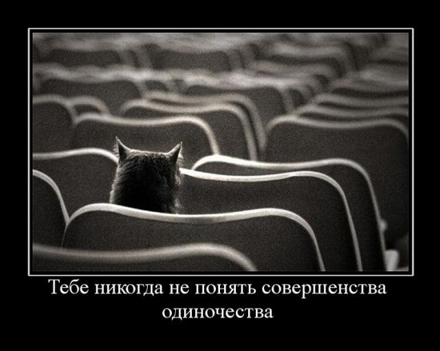 Прикольные демотиваторы и все у нас будет.