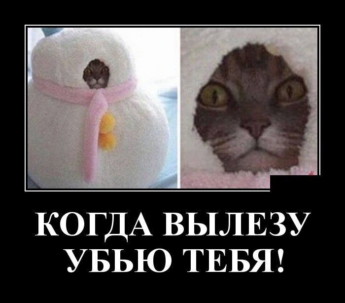 Демотиваторы с прикольным смыслом.