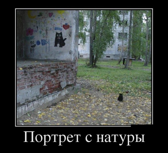 Демотиваторы, лучшие за день.