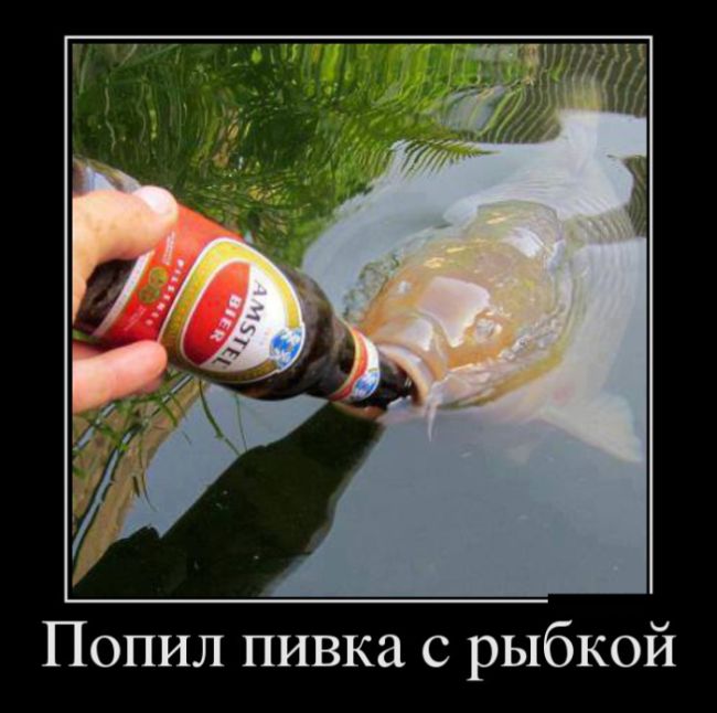 Демотиваторы, подборка новых и прикольных черных рамок.