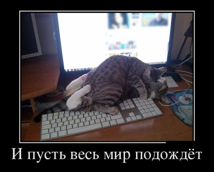 За день накопилось так много прикольных демотиваторов.