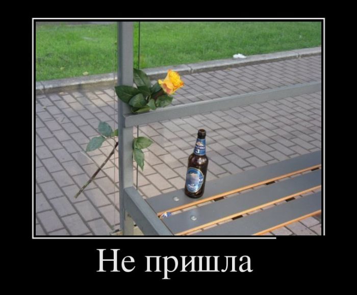Приколы новые демотиваторы, смешные фразы и картинки.