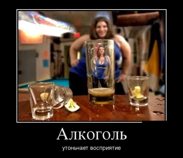 Приколы в демотиваторах для вас!