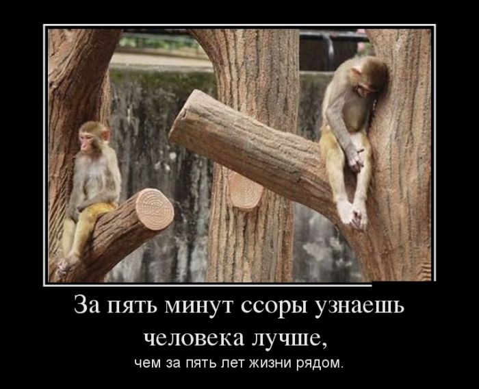 Прикольные демотиваторы и самые новые.