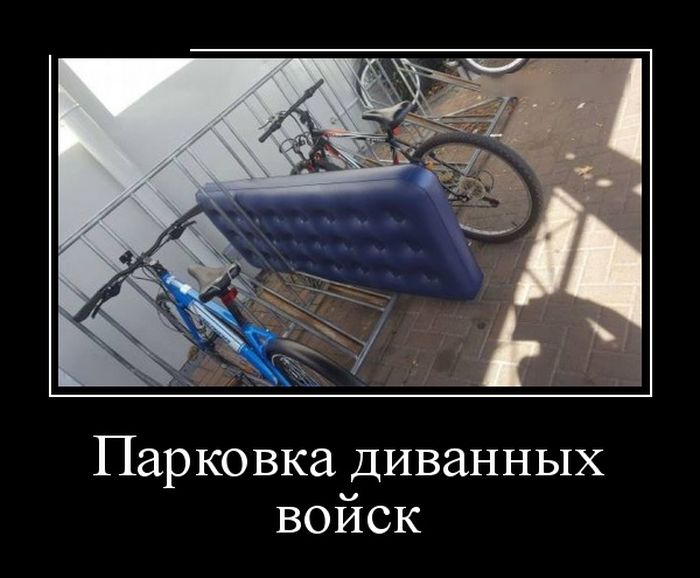 Демотиваторы, прикольные фотки и новые фразы.