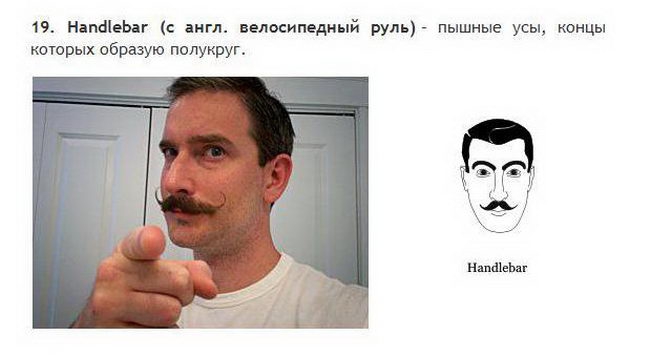 Борода и усы все разновидности