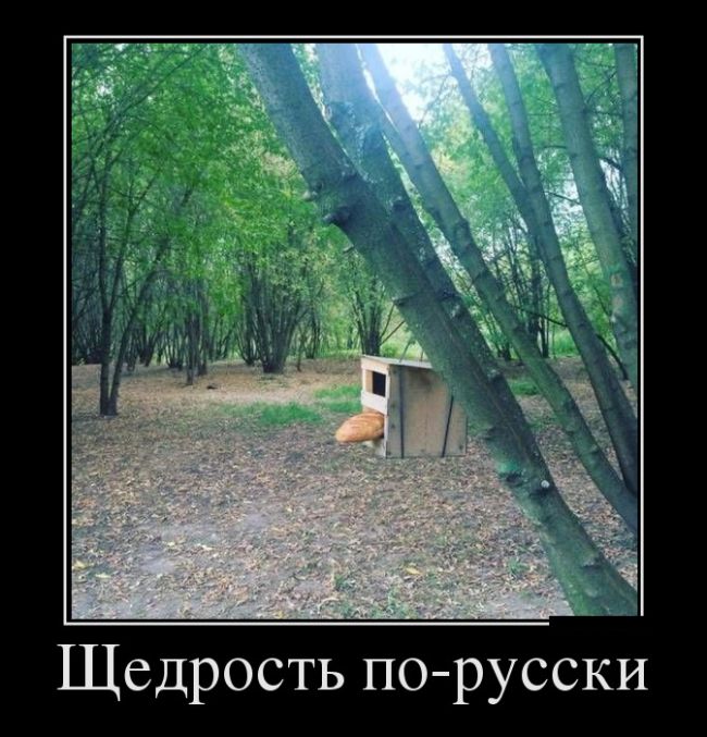 Демотиваторы прикольные и точно не последние.