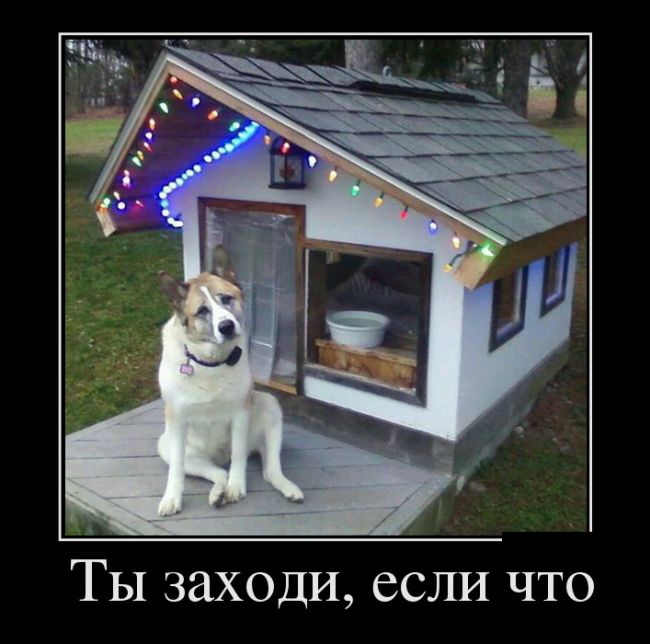 Демотиваторы, смотреть приколы всем.
