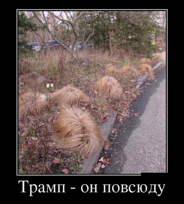 Новые и только прикольные демотиваторы дня.