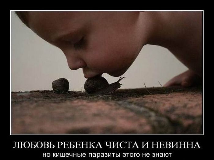 Свежие демотиваторы на Ёжин.ру