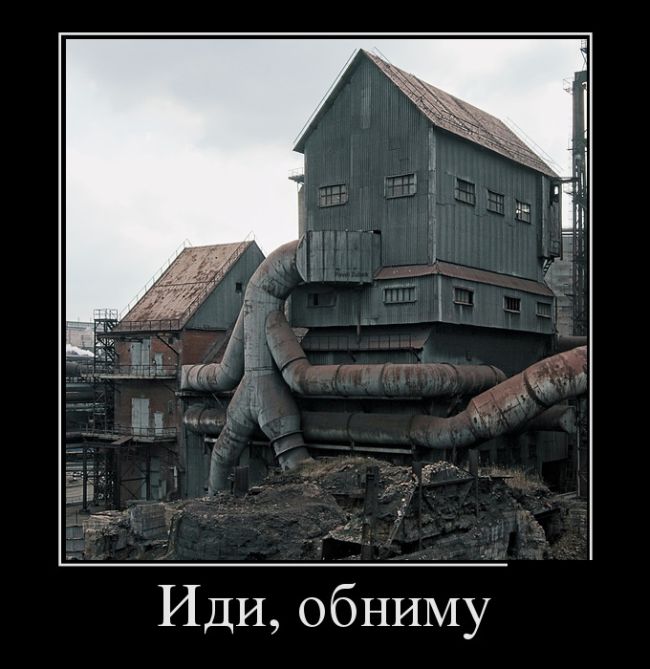 Прикольные демотиваторы сделают твой день.